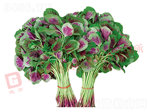 �¸�9̖(h��o)-�{�˷N��-�¸�