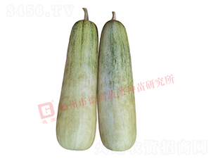 �¸�S60-��ϷN��-�¸�