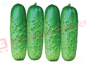 �¸�1925-�S�ϷN��-�¸�