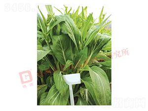 �¸�1987-��޷�N��-�¸�