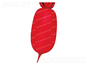 �׼t-�tƤ�}���N��-�¸�