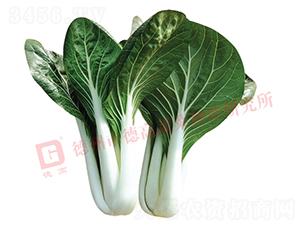 �¸�1343-�׹��˷N��-�¸�