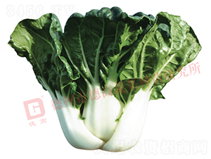 �¸�N1024-�׹��˷N��-�¸�