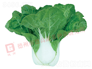 ���Z��1̖(h��o)-�׹��˷N��-�¸�