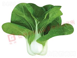 �¸�1435-�׹��˷N��-�¸�