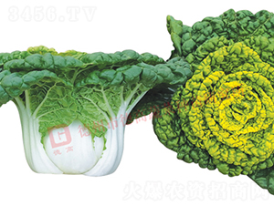 ���6̖(h��o)-�׹��˷N��-�¸�