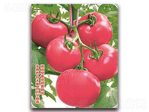 ����-���ѷN��-���S�N�I(y��)