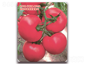 ����-���ѷN��-���S�N�I(y��)