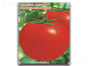 �t��-���ѷN��-���S�N�I(y��)