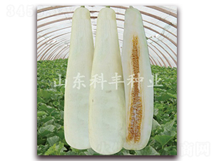 ������-��ϷN��-���S�N�I(y��)