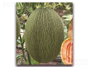 ɽ���۶�ʮ��̖-��ϷN��-���S�N�I(y��)