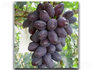 A17����-���ѷN��