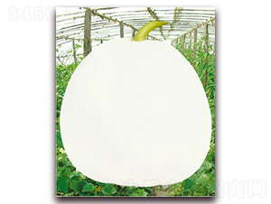 ����-��ϷN��-���S�N�I(y��)