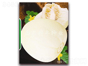 ���Ǵ�-��ϷN��-���S�N�I(y��)