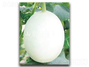 ����ѩ��-��ϷN��-���S�N�I(y��)