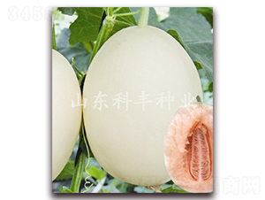 ɽ������̖-��ϷN��-���S�N�I(y��)