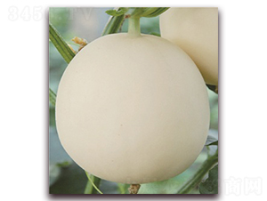 ɽ������̖-��ϷN��-���S�N�I(y��)