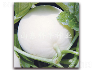 �OƷ��ѩ-��ϷN��-���S�N�I(y��)