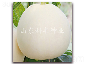 ����һ̖-��ϷN��-���S�N�I(y��)