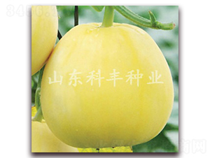 ɽ����һ̖-��ϷN��-���S�N�I(y��)