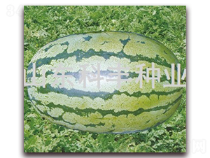 ���Sһ̖-���ϷN��-���S�N�I(y��)