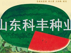 ���ز����-���ϷN��-���S�N�I(y��)