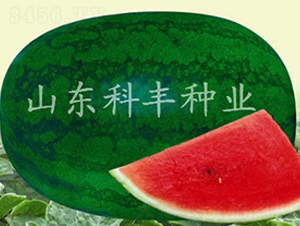 �߿����B��-���ϷN��-���S�N�I(y��)