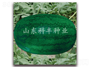 �߿����B��-���ϷN��-���S�N�I(y��)