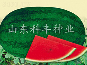 �������B��-���ϷN��-���S�N�I(y��)