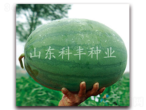 �ش�tɳ��-���ϷN��-���S�N�I(y��)