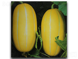 ʥ��һ̖-��ϷN��