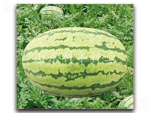 ���r��̖-���ϷN��-���S�N�I(y��)