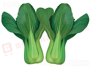 �¸ߟ��L(f��ng)-�๣�˷N��-�¸�