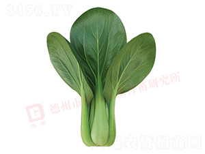 �¸�����-�๣�˷N��-�¸�