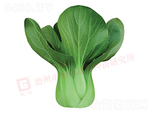 ���_������-�¸�569-�๣�˷N��-�¸�