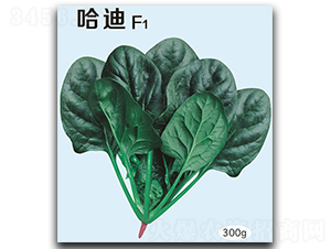 ����-���˷N��