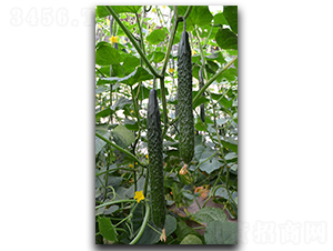 ����53-�S�ϷN��