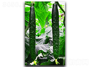 ����101-�S�ϷN��