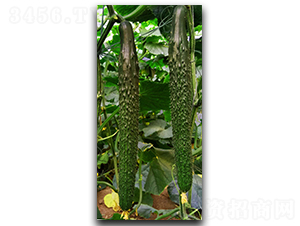 ����102-�S�ϷN��