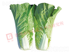 �¸�1832-��˷N��-�¸�