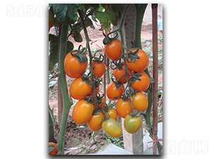 �S�_��-���ѷN��