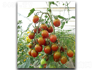 142-���ѷN��