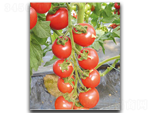 152-���ѷN��