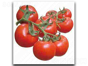 ����-���ѷN��