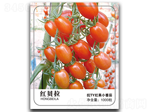 �tؐ��-���ѷN��