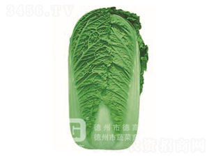 ���G���h-��ײ˷N��-�¸�