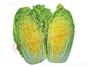 �¸�1431-��ײ˷N��-�¸�