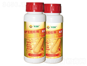 ���a(ch��n)��������-�����-�r(n��ng)�̘�(l��)