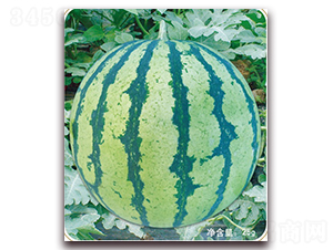 ����һ̖-���ϷN��-���S�N�I(y��)