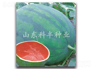 ɽ�Ɵo��-���ϷN��-���S�N�I(y��)